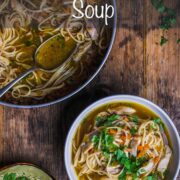 Shredded chicken and egg noodles in a bowl of broth and chopped vegetables.