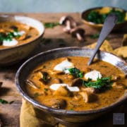 hungarian mushroom soup