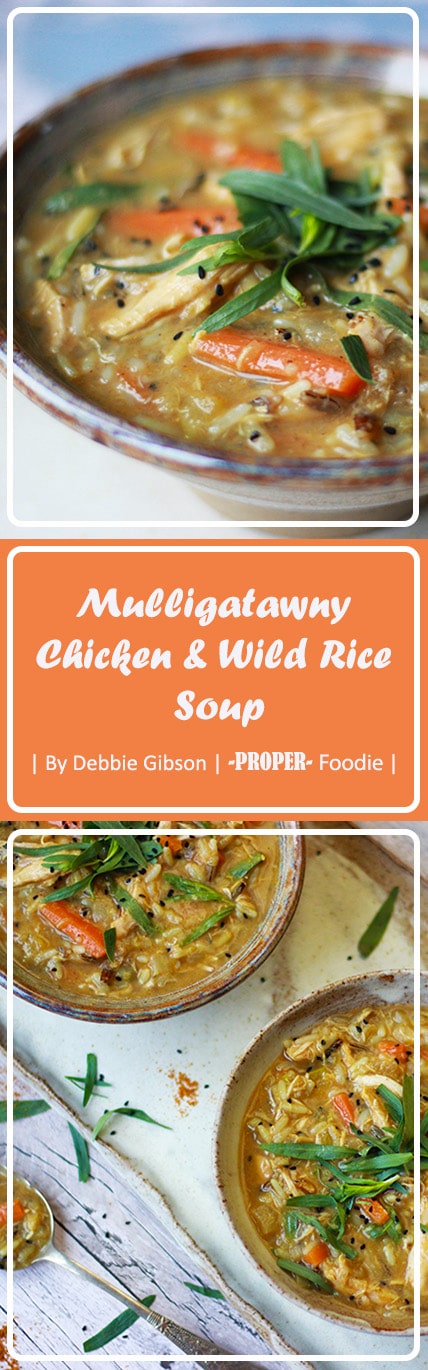 Mulligatawny Chicken & Wild rice soup