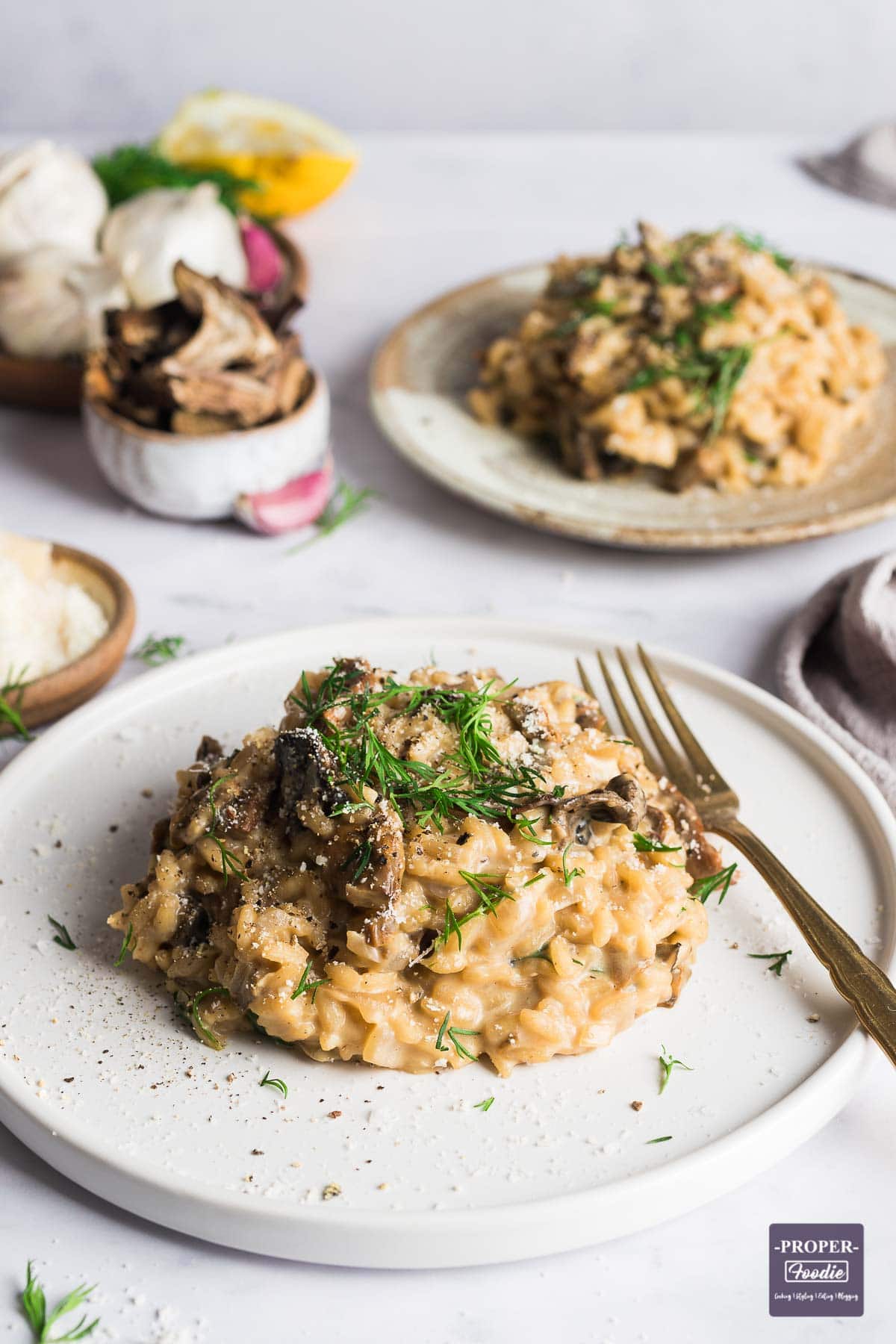 Small plate of mushroom risotto with second plate in the background.