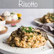 Porcini mushroom risotto on a small plate with fresh dill and parmesan.