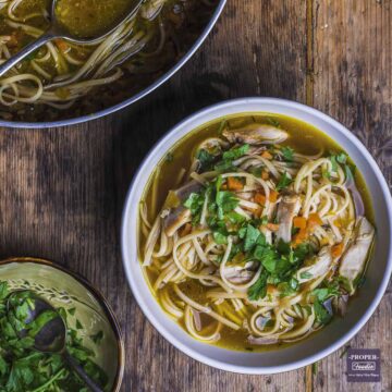 Shredded chicken and egg noodles in a bowl of broth and chopped vegetables.