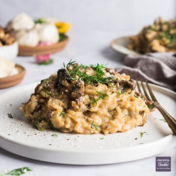 Porcini mushroom risotto on a small plate with fresh dill and parmesan.