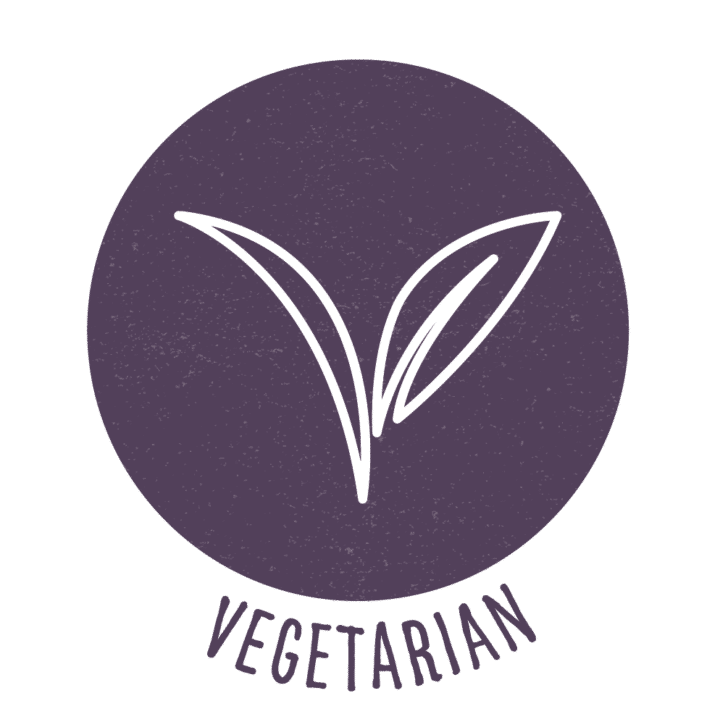 vegetarian recipe